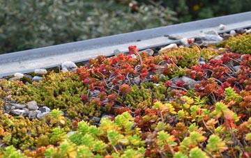 the cost of Coopers Corner green roof installation