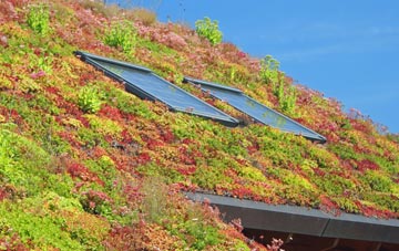 Coopers Corner living roof systems