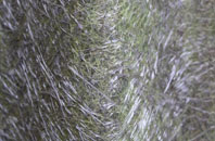 Coopers Corner fibreglass roof work